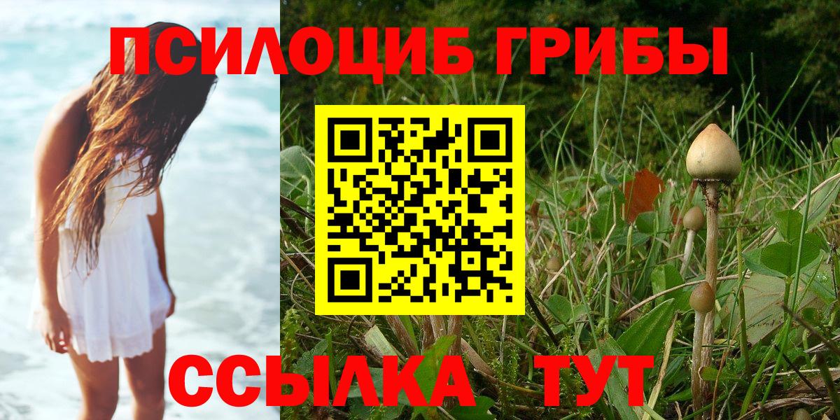 Галлюциногенные грибы MAGIC MUSHROOMS Холмск