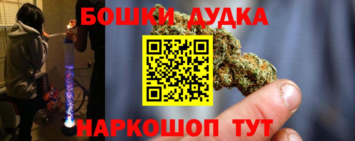 Бошки Шишки планчик Холмск